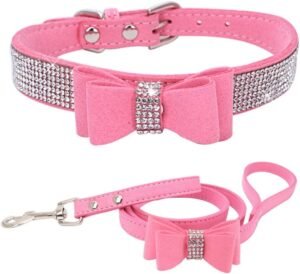 Collar y correa para cachorro, corbatín con diamantes.