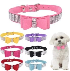 Collares pequeños para perras hembras