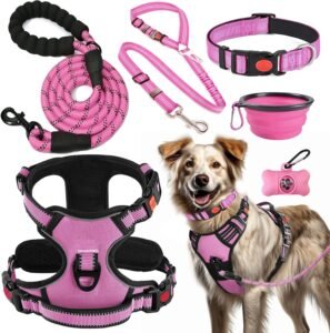 Juego de arnés, collar y correa para perro.