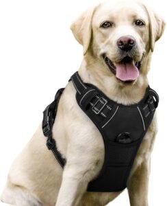Pechera para perro Reforzada